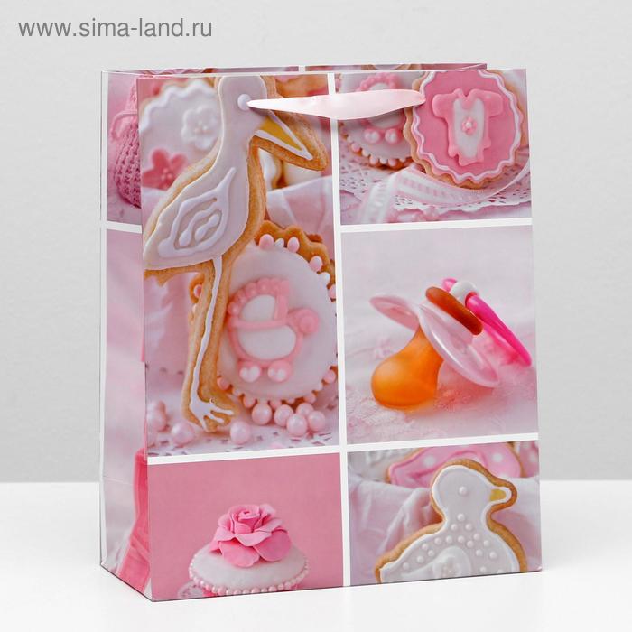 Пакет ламинированный, 26 x 32 x 12 см
Пакет ламинированный, 26 x 32 x 12 см