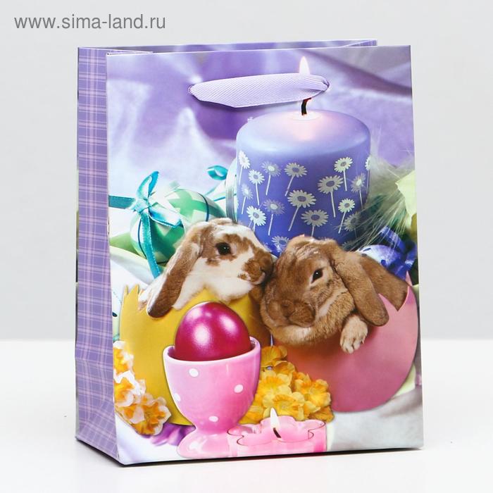 Пакет ламинированный, 11,5 х 14,5 х 6 см
Пакет ламинированный, 11,5 х 14,5 х 6 см