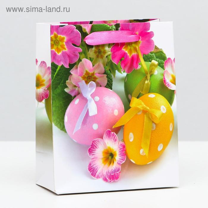 Пакет ламинированный, 11,5 х 14,5 х 6 см 
Пакет ламинированный, 11,5 х 14,5 х 6 см