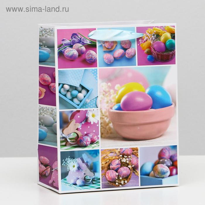 Пакет ламинированный, 18 x 23 x 10 см
Пакет ламинированный, 18 x 23 x 10 см