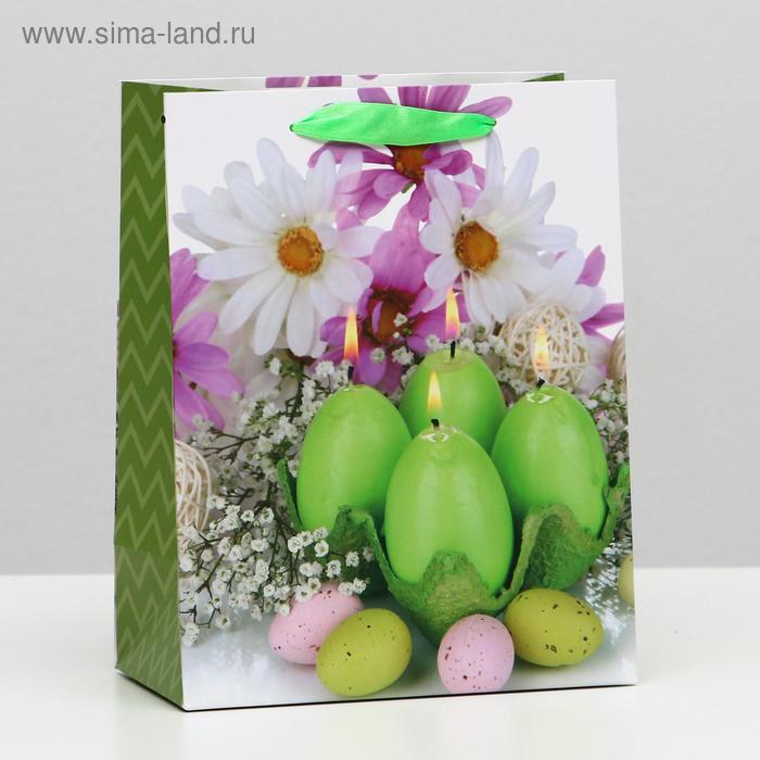 Пакет ламинированный, 18 x 23 x 10 см
Пакет ламинированный, 18 x 23 x 10 см