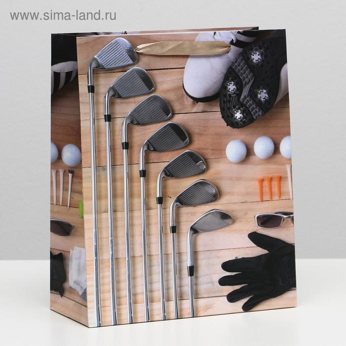 Пакет подарочный ламинированный, 26 x 32 x 12 см
Пакет подарочный ламинированный, 26 x 32 x 12 см