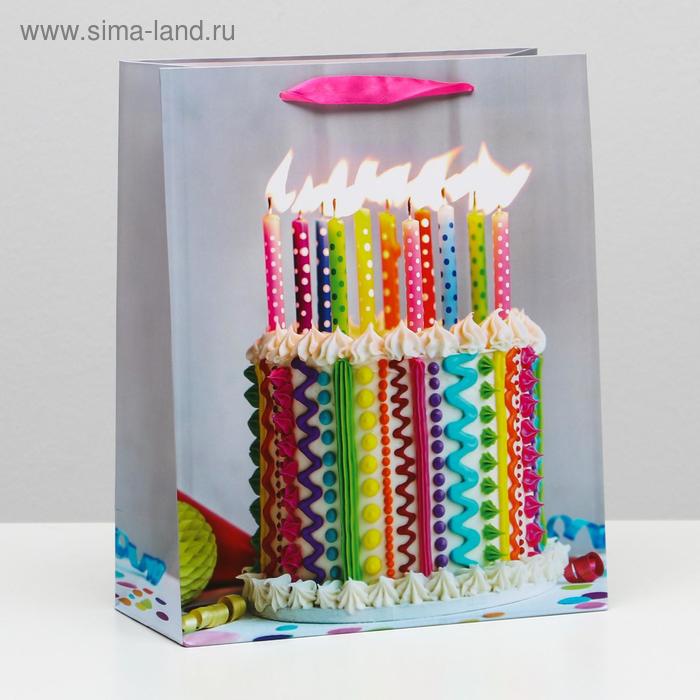 Пакет ламинированный, 26 x 32 x 12 см
Пакет ламинированный, 26 x 32 x 12 см