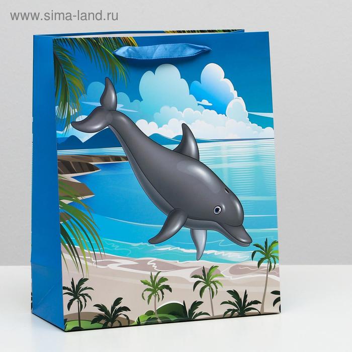 Пакет ламинированный, 26 x 32 x 12 см
Пакет ламинированный, 26 x 32 x 12 см