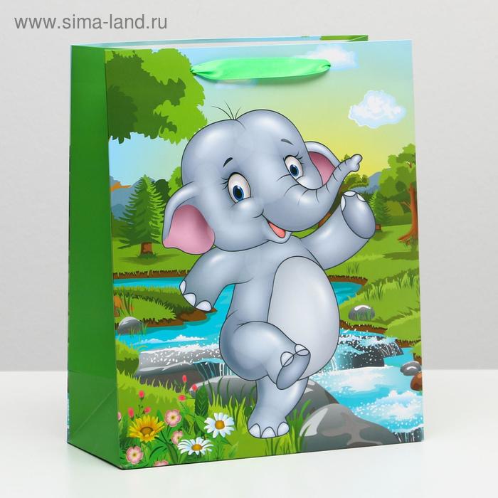 Пакет ламинированный, 26 x 32 x 12 см
Пакет ламинированный, 26 x 32 x 12 см