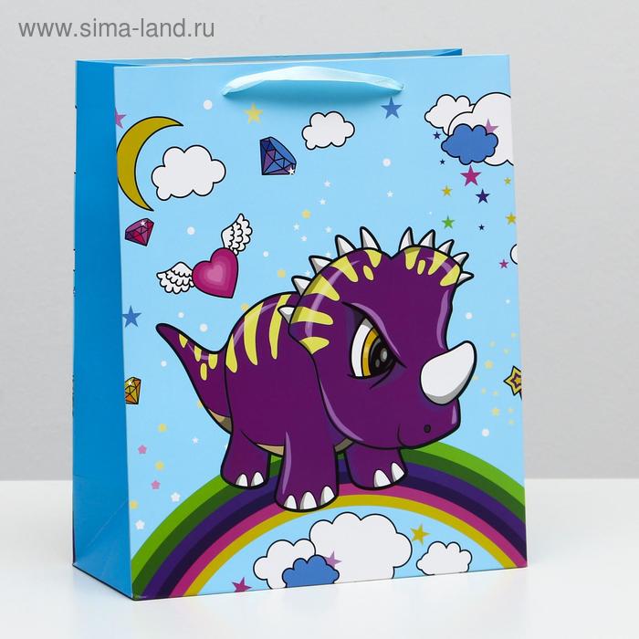 Пакет ламинированный, 26 x 32 x 12 см
Пакет ламинированный, 26 x 32 x 12 см