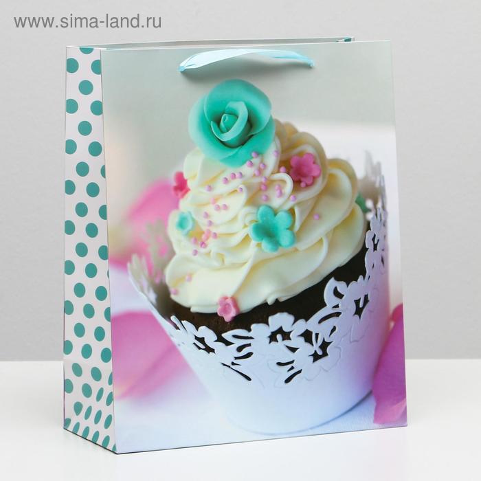 Пакет ламинированный, 26 x 32 x 12 см
Пакет ламинированный, 26 x 32 x 12 см