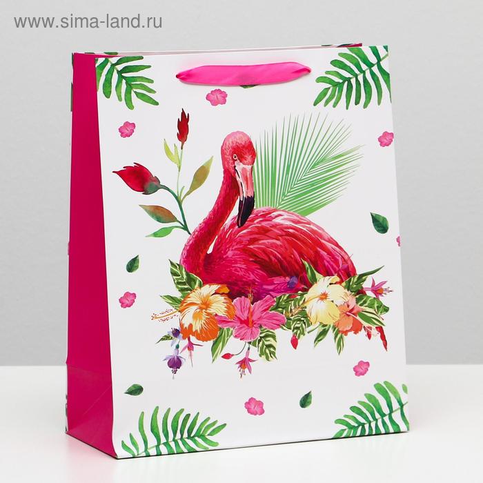 Пакет ламинированный, 26 x 32 x 12 см
Пакет ламинированный, 26 x 32 x 12 см