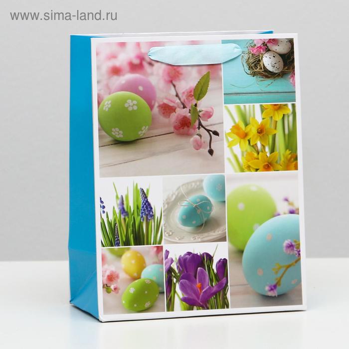 Пакет подарочная ламинированный, 18 x 23 x 10 см
Пакет подарочная ламинированный, 18 x 23 x 10 см