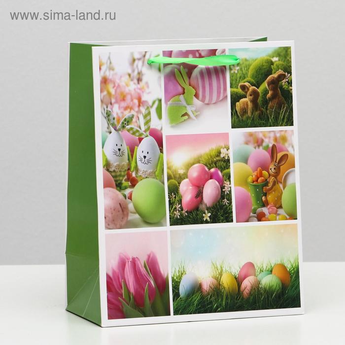 Пакет подарочный ламинированный, 18 x 23 x 10 см
Пакет подарочный ламинированный, 18 x 23 x 10 см