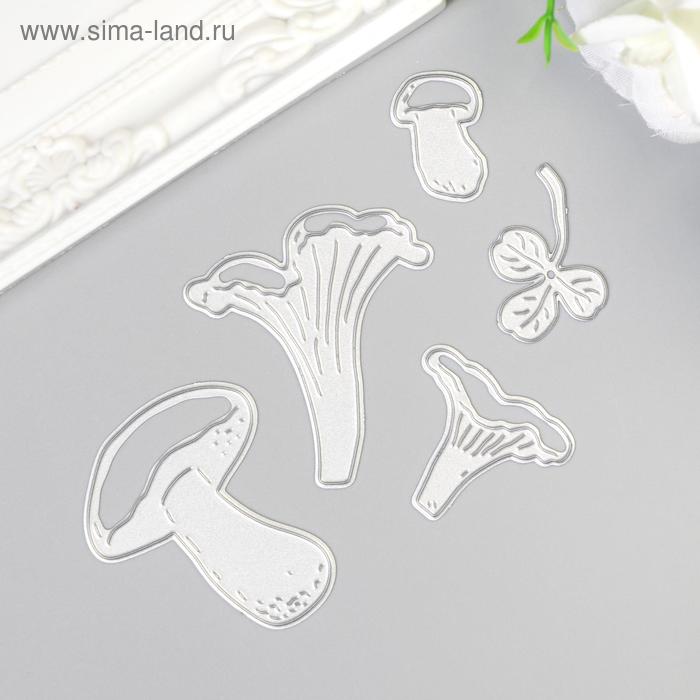 фото Набор ножей для вырубки "грибные места" 9,5х5 см. mimicut