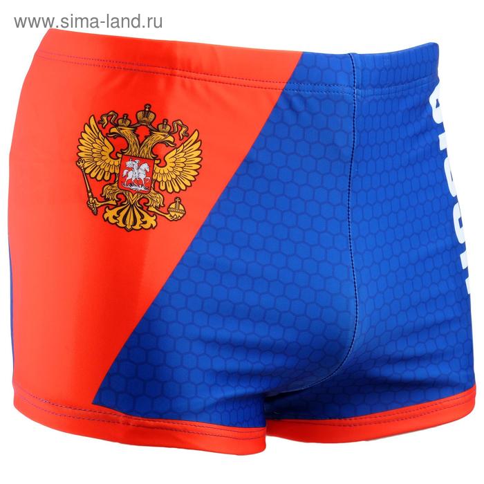 Плавки мужские для бассейна «RUSSIA», размер 44
Плавки мужские для бассейна «RUSSIA», размер 44