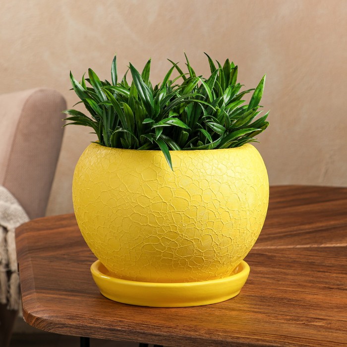 Горшок для цветов "Шар" шёлк, желтый, керамика, 2 л
Горшок для цветов "Шар" шёлк, желтый, керамика, 2 л