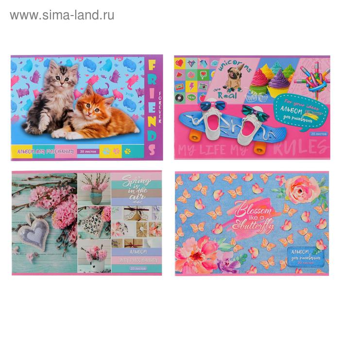 Альбом для рисования А4, 20 листов на скрепке "MIX-Девочки", обложка мелованный картон, блок 100 г/м², МИКС
Альбом для рисования А4, 20 листов на скрепке "MIX-Девочки", обложка мелованный картон, блок 100 г/м², МИКС