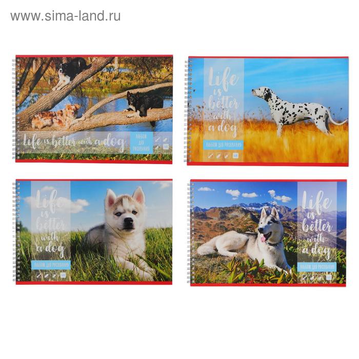Альбом для рисования А4, 48 листов на гребне «Собака-лучший друг!», обложка мелованный картон, блок 100 г/м2, МИКС
Альбом для рисования А4, 48 листов на гребне «Собака-лучший друг!», обложка мелованный картон, блок 100 г/м2, МИКС