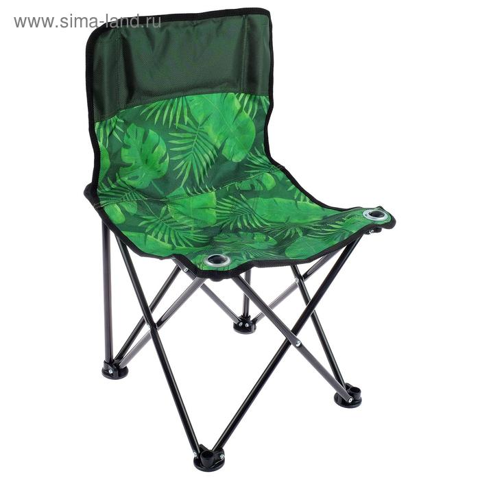 Стул складной «Премиум 2» ПСП2/2, 42 x 42 x 67 см, тропические листья
Стул складной «Премиум 2» ПСП2/2, 42 x 42 x 67 см, тропические листья