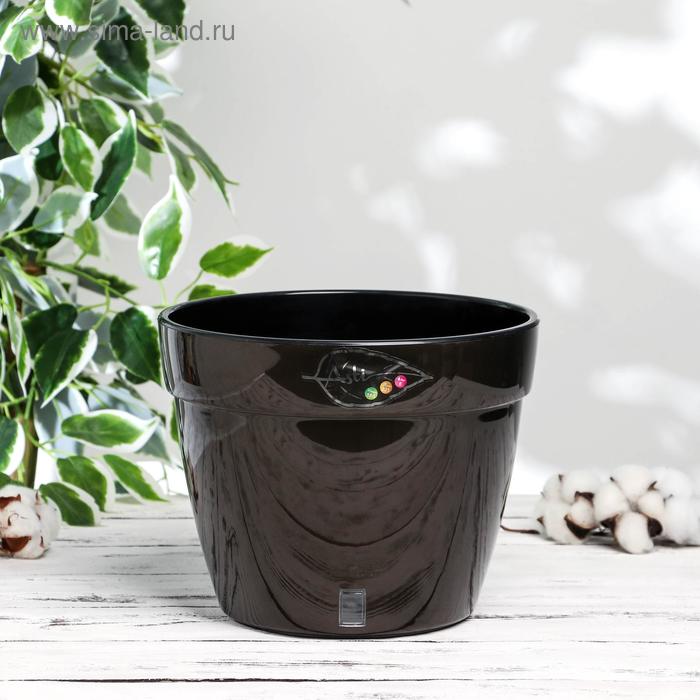 Кашпо с автополивом «Асти», 6 л, цвет золото-чёрный
Кашпо с автополивом «Асти», 6 л, цвет золото-чёрный