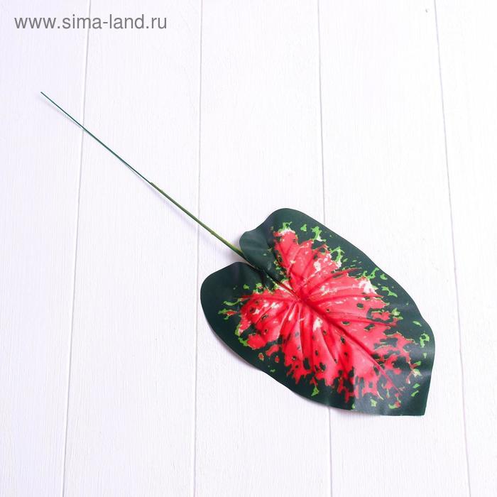 Лист искусственный с розовыми прожилками, 40 × 13 см
Лист искусственный с розовыми прожилками, 40 × 13 см