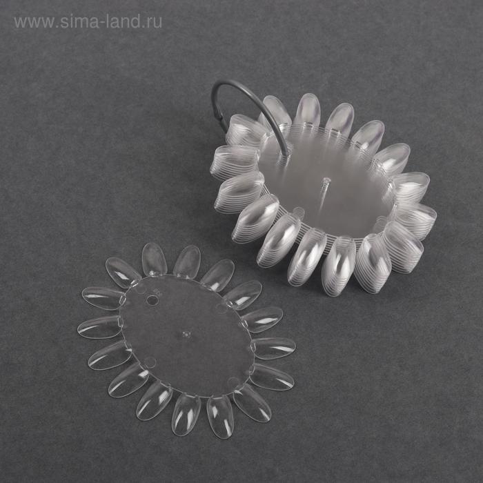 Палитра для лаков «Овальная», 10 шт по 16 ногтей, цвет прозрачный
Палитра для лаков «Овальная», 10 шт по 16 ногтей, цвет прозрачный