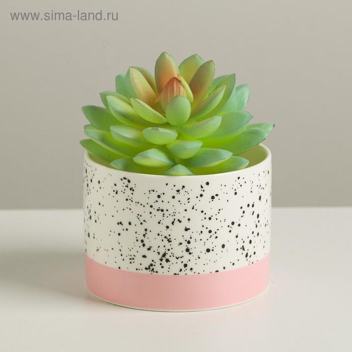 Керамическое кашпо «Брызги», 8 х 5,5 см
Керамическое кашпо «Брызги», 8 х 5,5 см