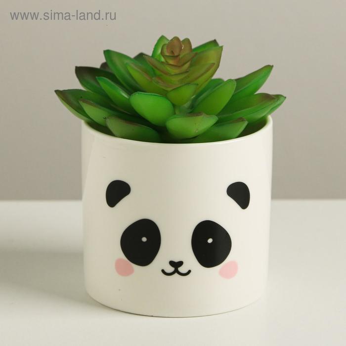 Керамическое кашпо «Панда», 8 х 7,5 см
Керамическое кашпо «Панда», 8 х 7,5 см