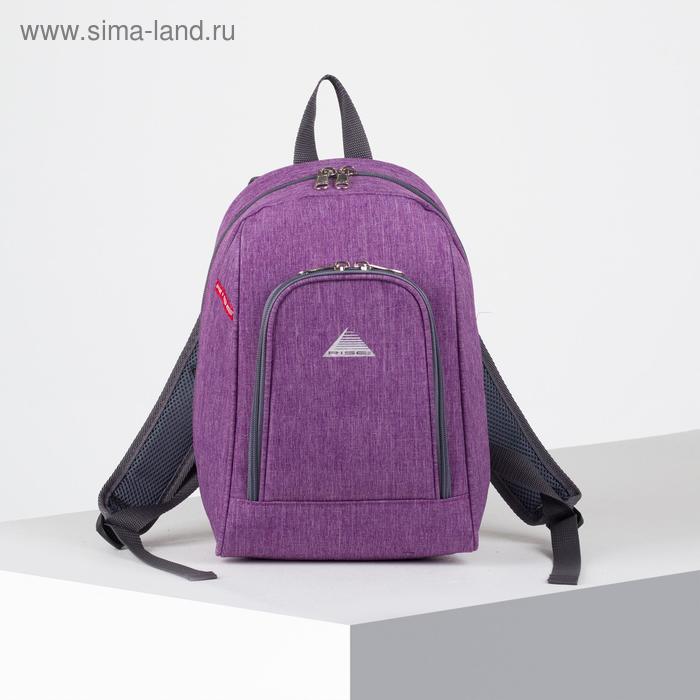 Рюкзак молодёжный, отдел на молнии, наружный карман, цвет сиреневый
Рюкзак молодёжный, отдел на молнии, наружный карман, цвет сиреневый