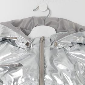 Жилетка для девочки, цвет серебро, рост 110-116 см
Жилетка для девочки, цвет серебро, рост 110-116 см