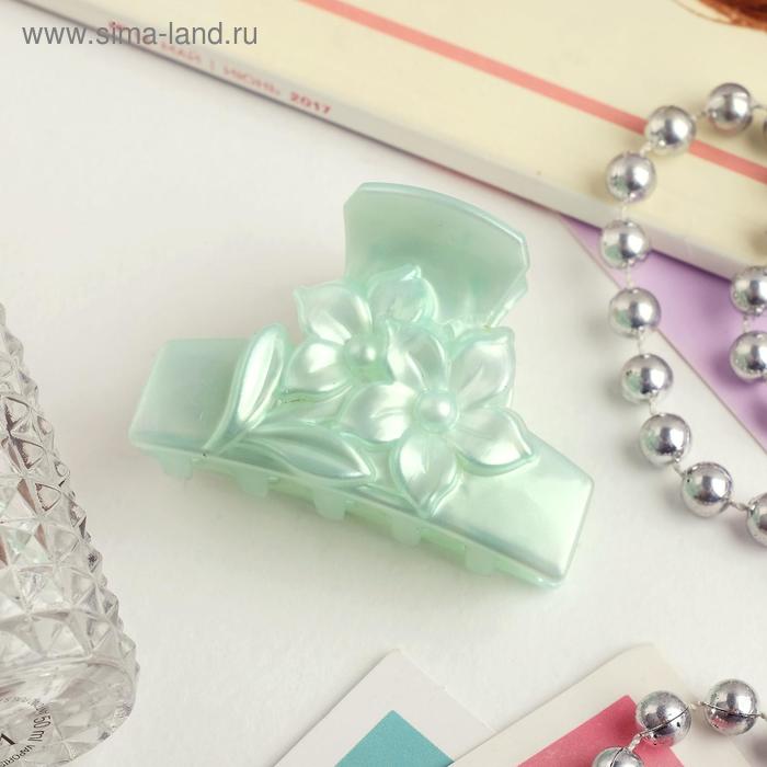 Краб для волос "Перелив" два цветочка 6 см, микс
Краб для волос "Перелив" два цветочка 6 см, микс