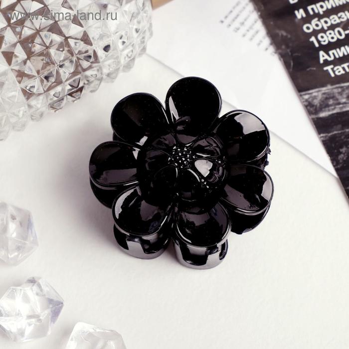 Краб для волос "Перелив" крупный цветок 5 см, микс
Краб для волос "Перелив" крупный цветок 5 см, микс