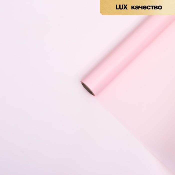 Пленка для цветов "Однотонная" розовый, 0,58 х 10 м
Пленка для цветов "Однотонная" розовый, 0,58 х 10 м