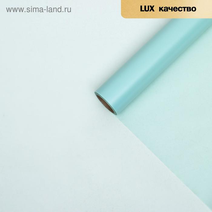 Пленка для цветов "Однотонная" светло - бирюзовый, 0,58 х 10 м
Пленка для цветов "Однотонная" светло - бирюзовый, 0,58 х 10 м