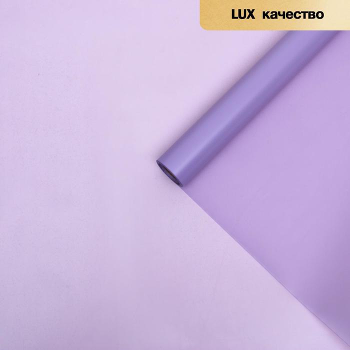 Пленка для цветов "Однотонная" фиолетовый, 0,58 х 10 м
Пленка для цветов "Однотонная" фиолетовый, 0,58 х 10 м
