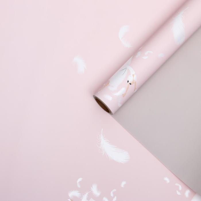 Пленка для цветов "Балерина", бежево-розовый, 0,58 х 10 м
Пленка для цветов "Балерина", бежево-розовый, 0,58 х 10 м