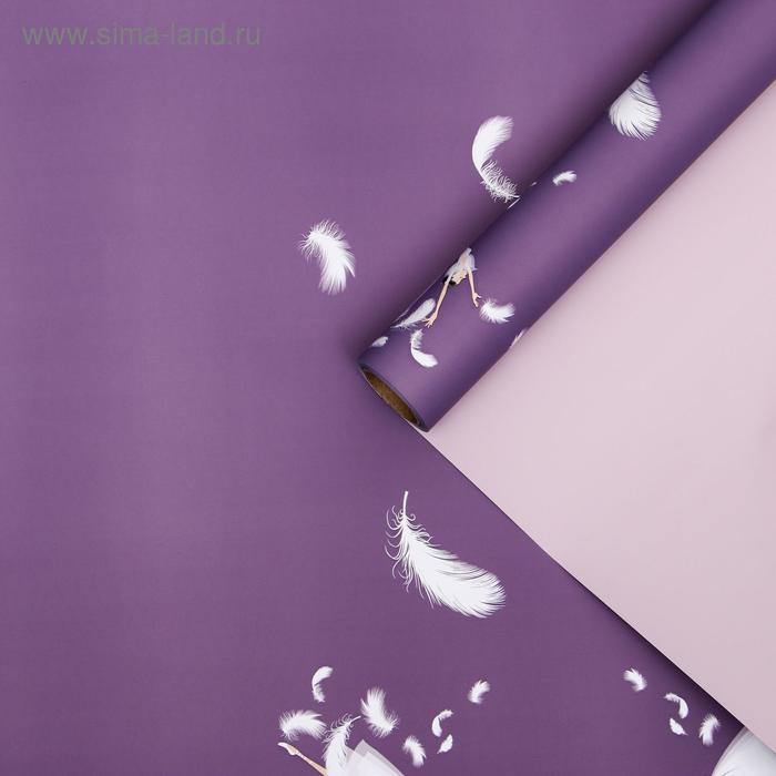 Пленка для цветов "Балерина", фиолетово-серый, 0,58 х 10 м
Пленка для цветов "Балерина", фиолетово-серый, 0,58 х 10 м