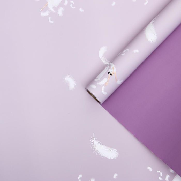 Пленка для цветов "Балерина", лавандово-фиолетовый, 0,58 х 10 м
Пленка для цветов "Балерина", лавандово-фиолетовый, 0,58 х 10 м