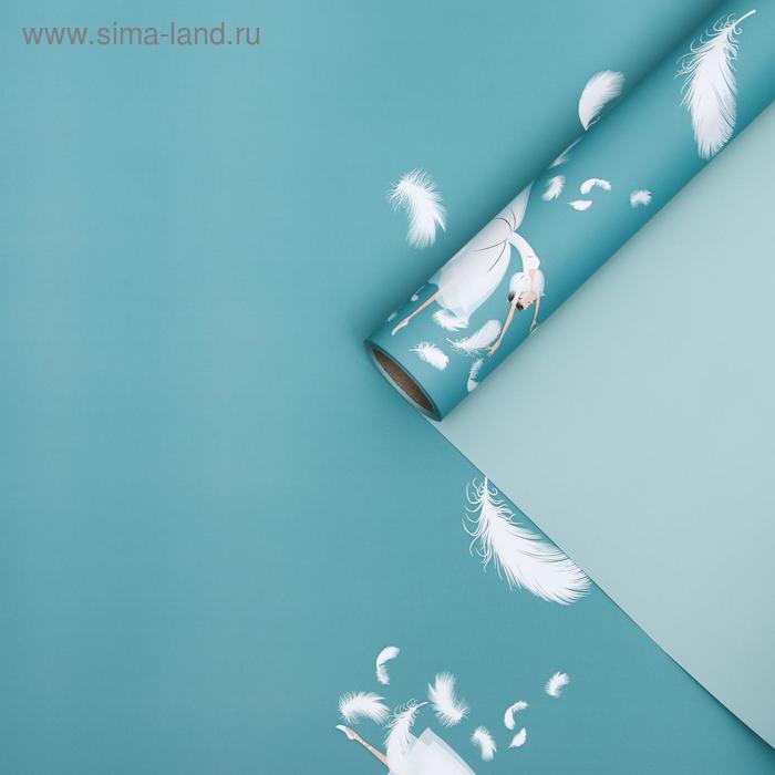 Пленка для цветов "Балерина", серо-зелёный, 0,58 х 10 м
Пленка для цветов "Балерина", серо-зелёный, 0,58 х 10 м