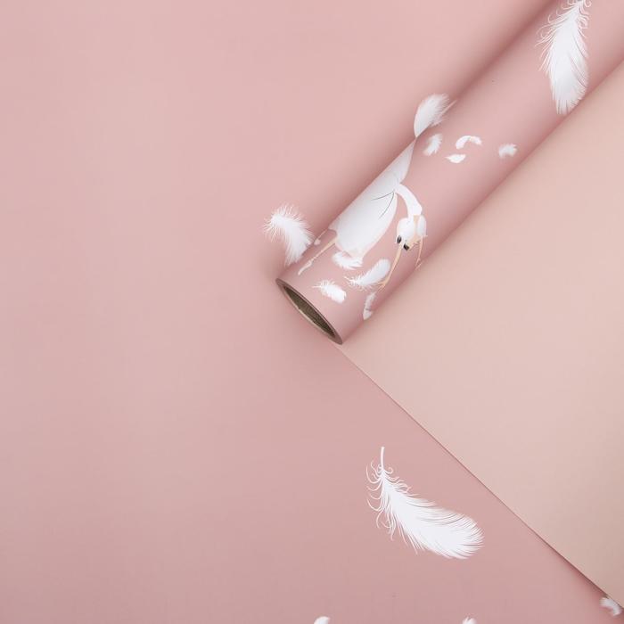 Пленка для цветов "Балерина", персиковый, 0,58 х 10 м
Пленка для цветов "Балерина", персиковый, 0,58 х 10 м