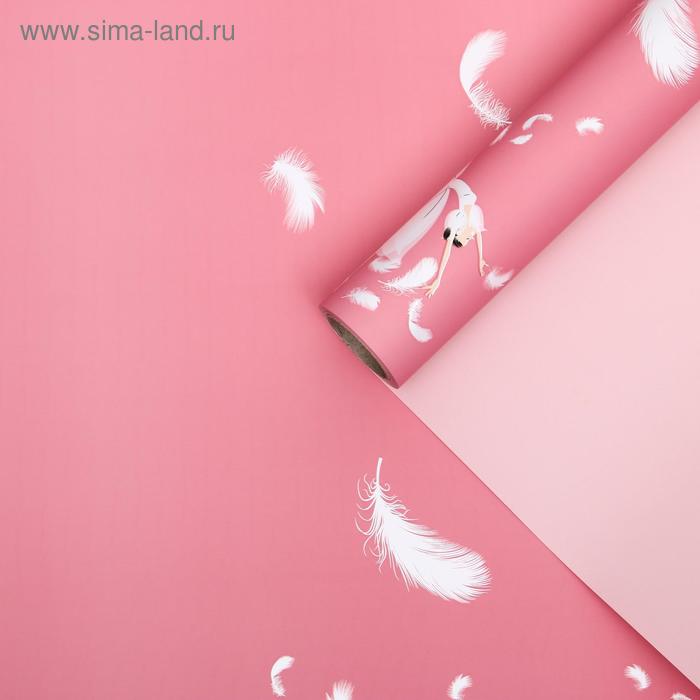 Пленка для цветов "Балерина", кораллово-розовый, 0,58 х 10 м
Пленка для цветов "Балерина", кораллово-розовый, 0,58 х 10 м