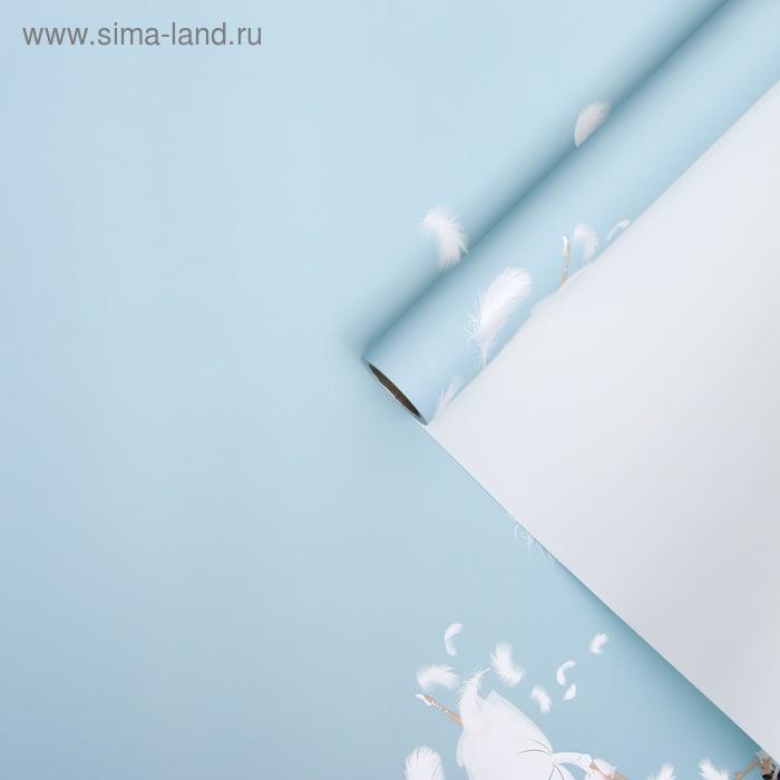 Пленка для цветов "Балерина", голубой, 0,58 х 10 м
Пленка для цветов "Балерина", голубой, 0,58 х 10 м