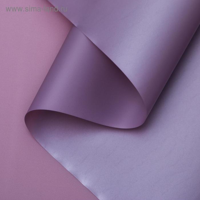 Пленка для цветов "Нежность", фиолетовый виноград, 0,58 х 10 м
Пленка для цветов "Нежность", фиолетовый виноград, 0,58 х 10 м