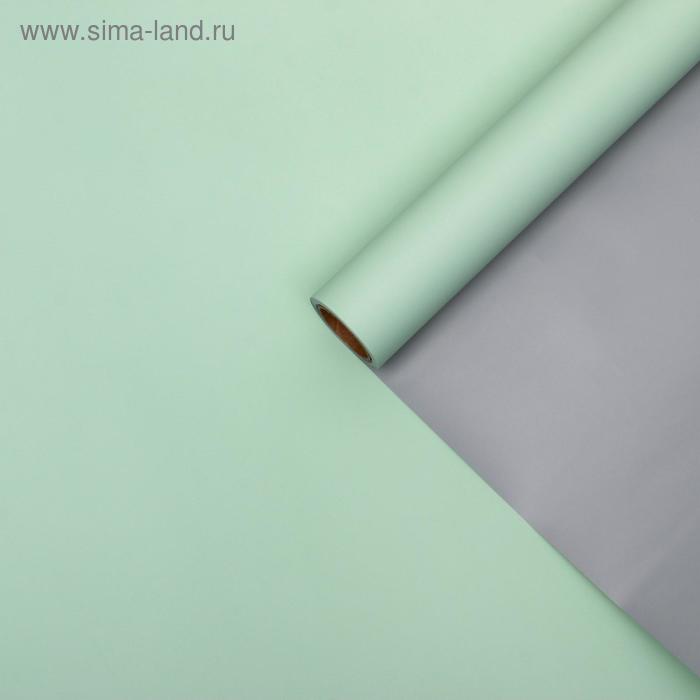 Пленка для цветов "Серебро", тиффани, 0,58 х 10 м
Пленка для цветов "Серебро", тиффани, 0,58 х 10 м