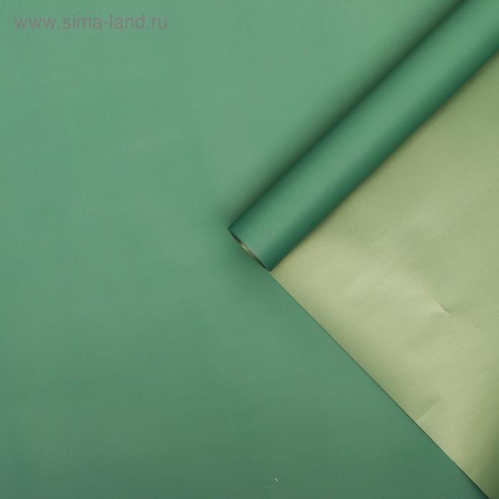 Плёнка двухсторонняя "Зеркальная сторона" серо-зелёный, 0,58 х 10 м
Плёнка двухсторонняя "Зеркальная сторона" серо-зелёный, 0,58 х 10 м