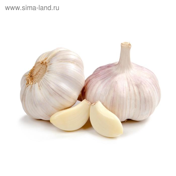 Чеснок озимый "Добрыня", калибр 30-50+ мм, сетка 25 кг
Чеснок озимый "Добрыня", калибр 30-50+ мм, сетка 25 кг