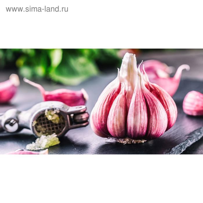 Чеснок озимый "Любаша", калибр 30-50+ мм, сетка 25 кг
Чеснок озимый "Любаша", калибр 30-50+ мм, сетка 25 кг