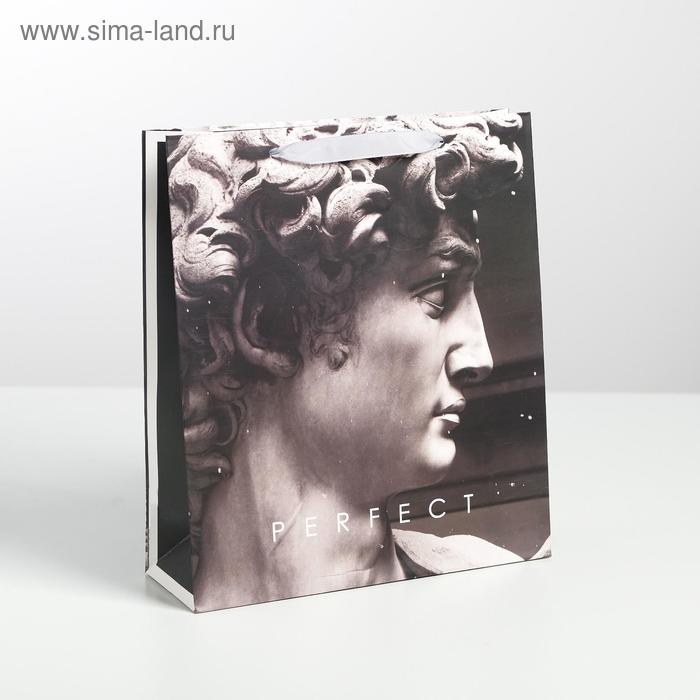 Пакет ламинированный вертикальный Perfect, M 26 × 30 × 9 см
Пакет ламинированный вертикальный Perfect, M 26 × 30 × 9 см