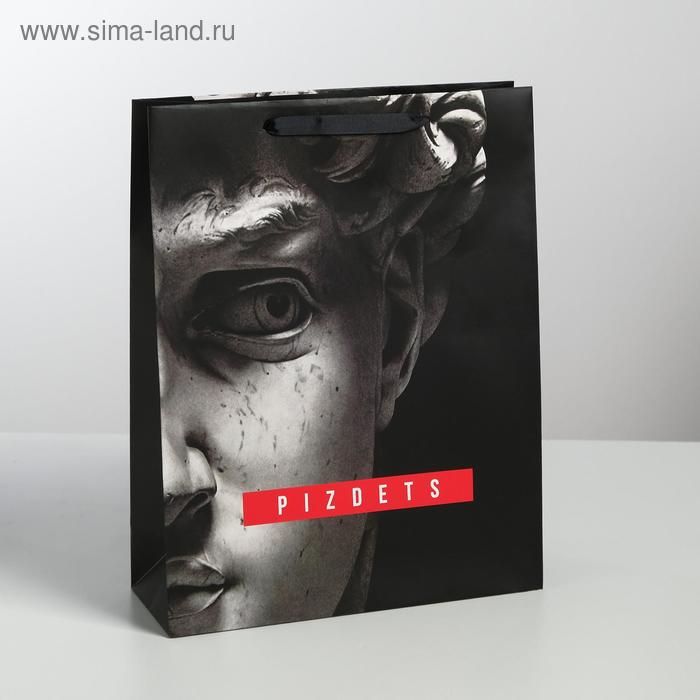 Пакет ламинированный вертикальный Pizdets, L 31 × 40 × 11,5 см
Пакет ламинированный вертикальный Pizdets, L 31 × 40 × 11,5 см