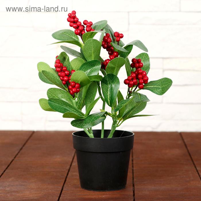 Бонсай "Грозди ягод" 9х23 см
Бонсай "Грозди ягод" 9х23 см