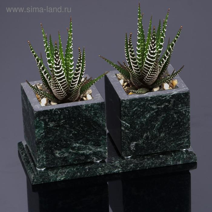 Горшки для цветов "Суккулент",2 шт. на подставке с магнитами, змеевик, 7,5х16х7,5 см
Горшки для цветов "Суккулент",2 шт. на подставке с магнитами, змеевик, 7,5х16х7,5 см