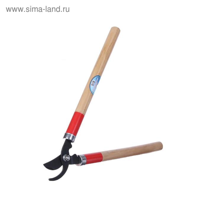 Сучкорез плоскостной, 17.7" (45 см), деревянные ручки
Сучкорез плоскостной, 17.7" (45 см), деревянные ручки