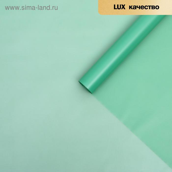 Пленка для цветов "Однотонная" мятный, 0,58 х 10 м
Пленка для цветов "Однотонная" мятный, 0,58 х 10 м